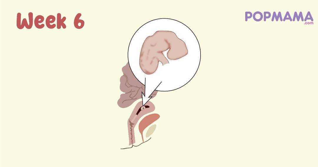 Popmama.com/Aristika Medinasari